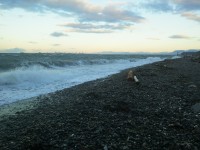 Point Roberts