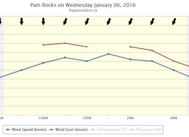 2016 Jan 6 - pam rocks.jpg