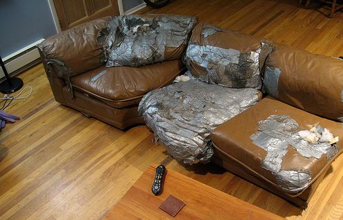 couch.JPG