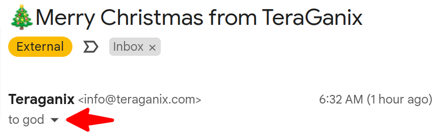 Merry-Christmas-from-TeraGanix-to-GOD.png