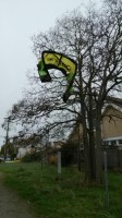 Shredded kite up in tree at 3rd AV entrance from a Squammer