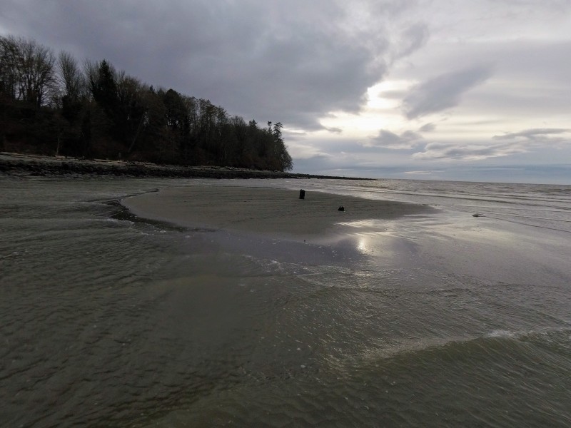 Acadia_Sandbar_G0017069.JPG