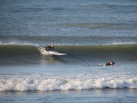 Dave and Reiner surf